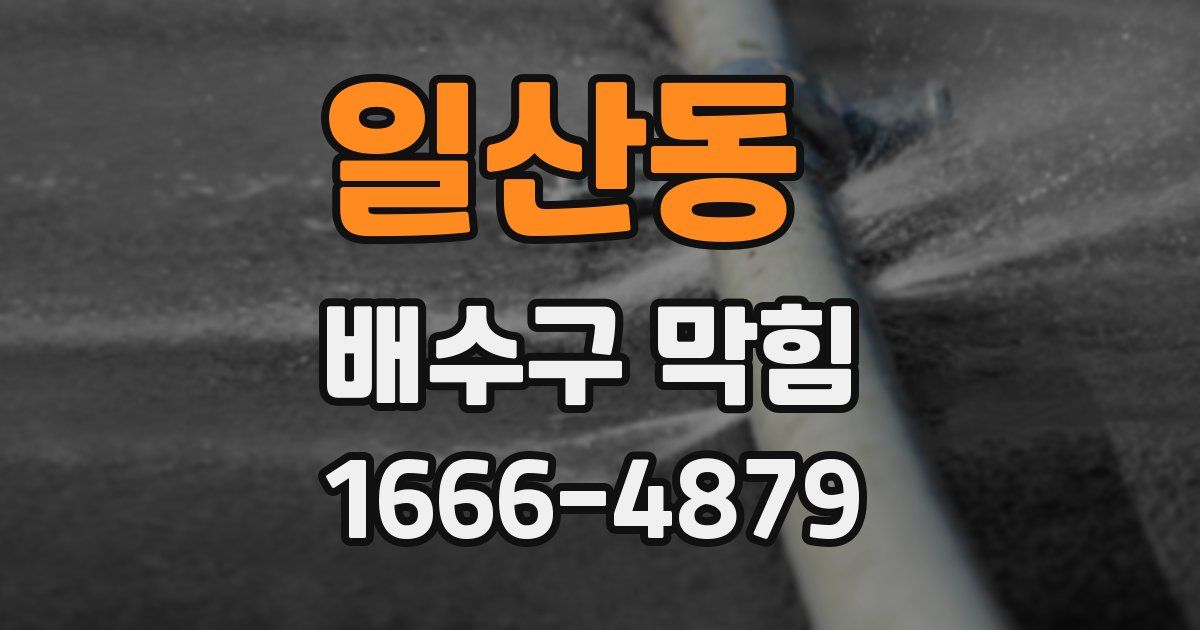 일산동 배수구 막힘