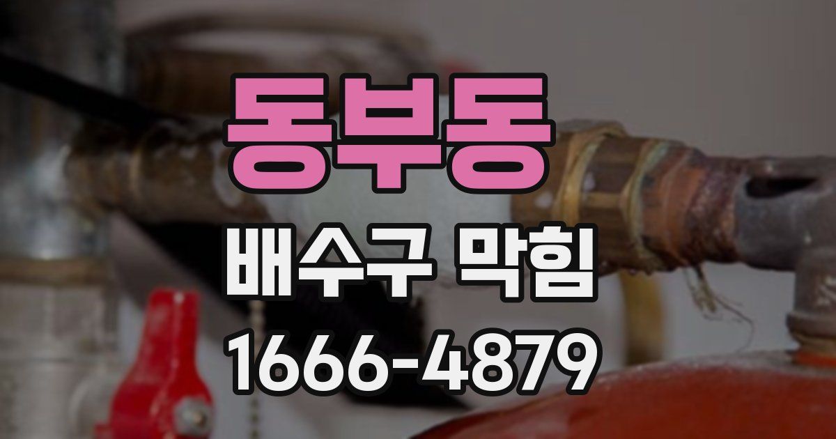 동부동 배수구 막힘