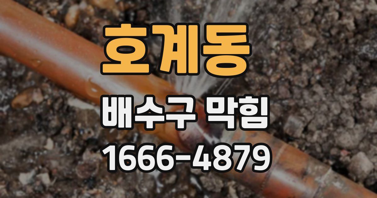 호계동 배수구 막힘