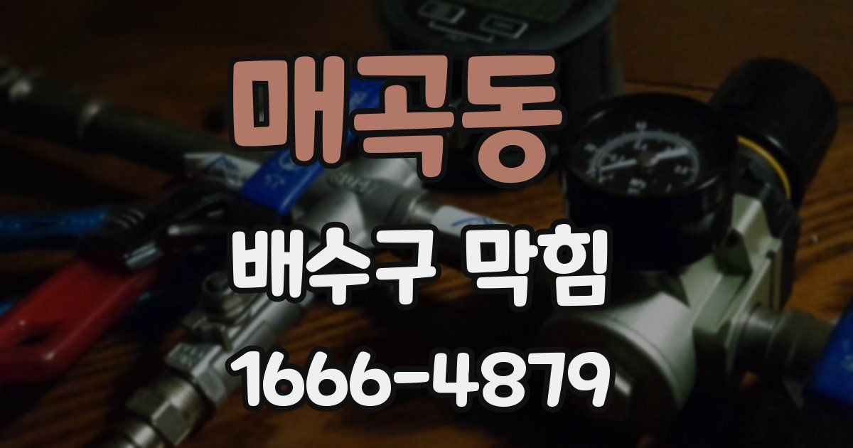 매곡동 배수구 막힘