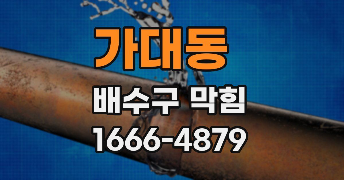 가대동 배수구 막힘