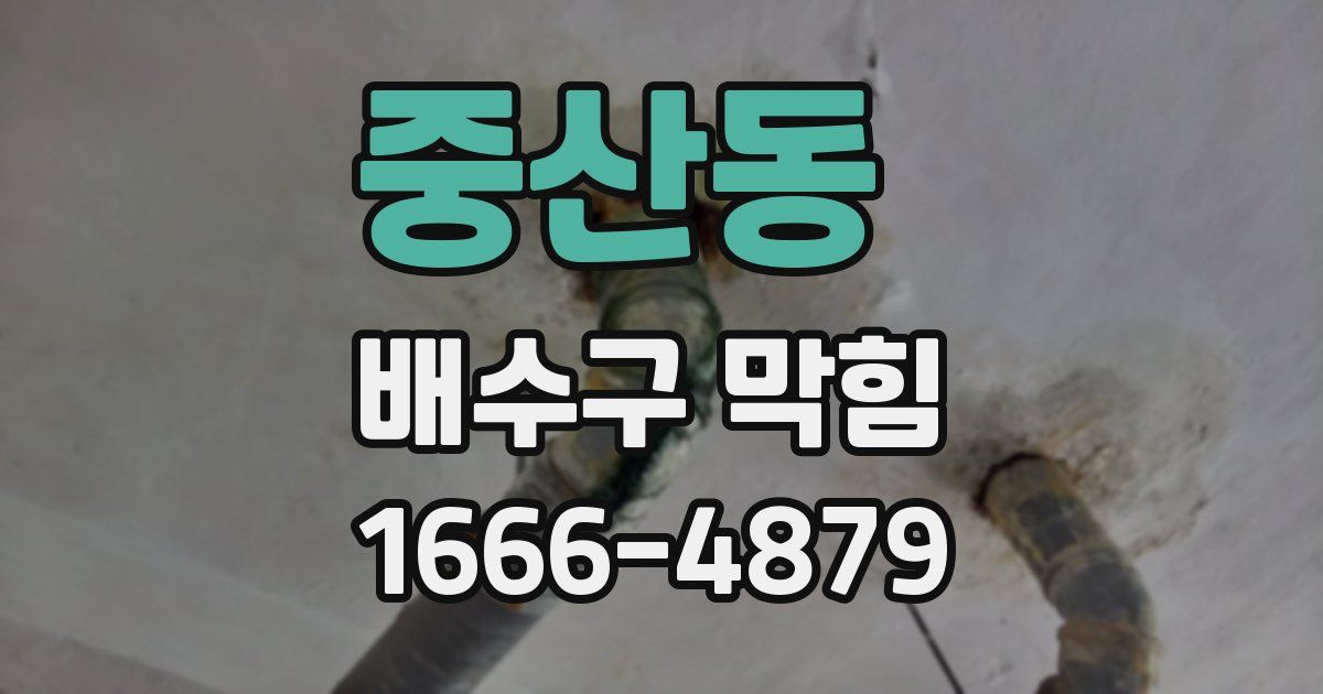 중산동 배수구 막힘