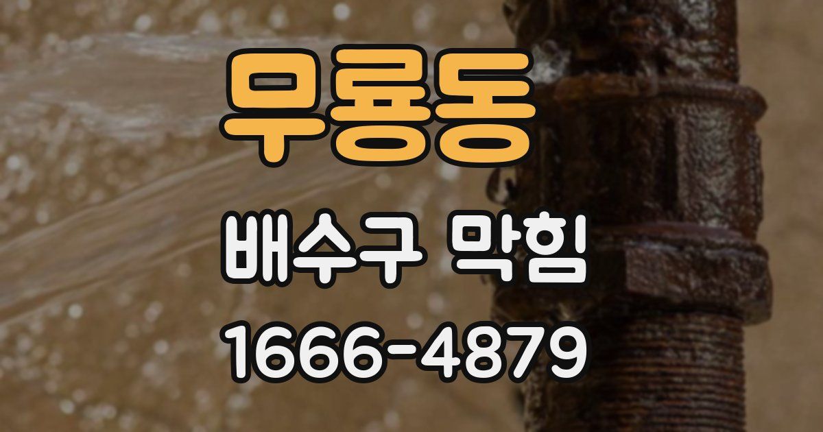 무룡동 배수구 막힘