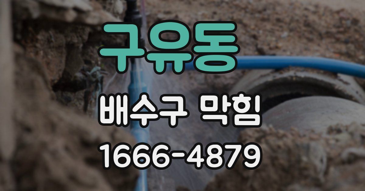 구유동 배수구 막힘