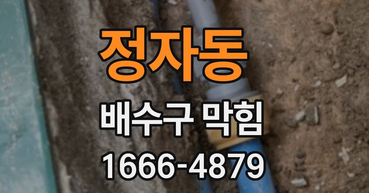 정자동 배수구 막힘