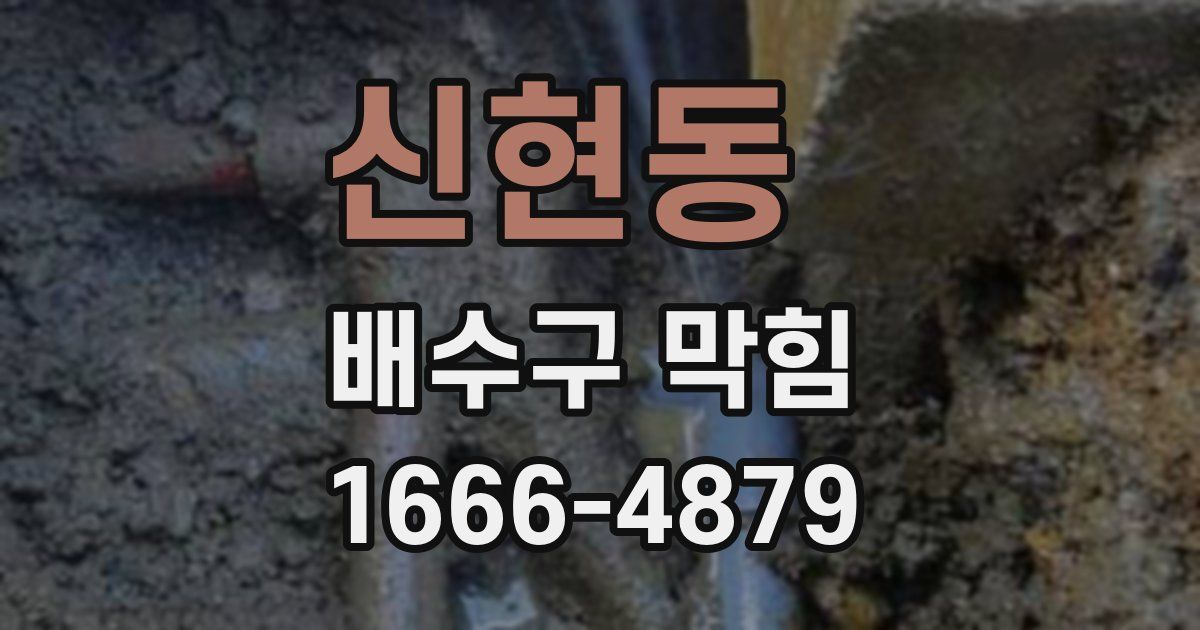 신현동 배수구 막힘
