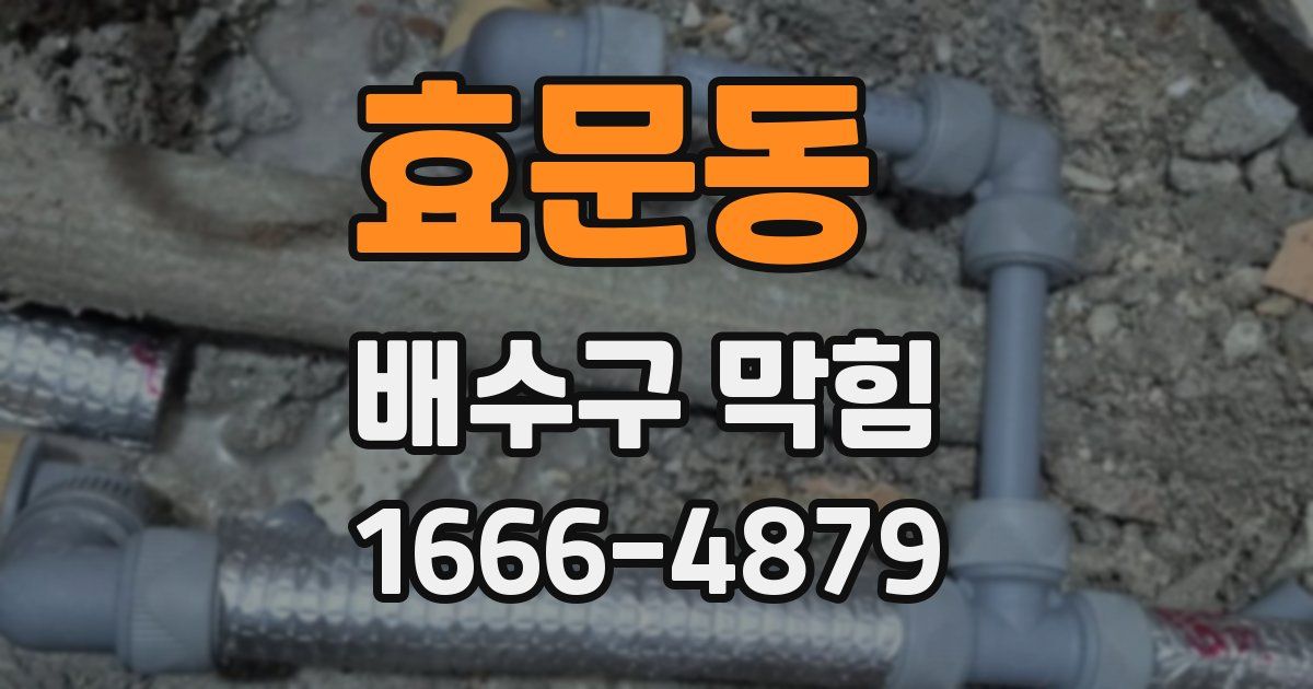 효문동 배수구 막힘