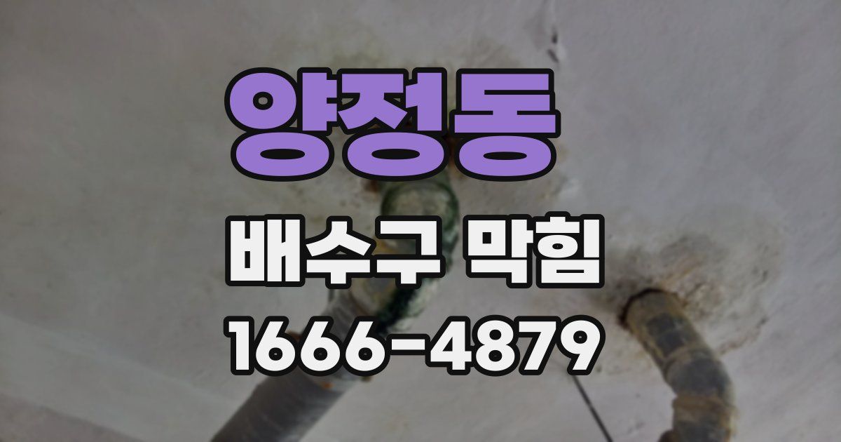 양정동 배수구 막힘