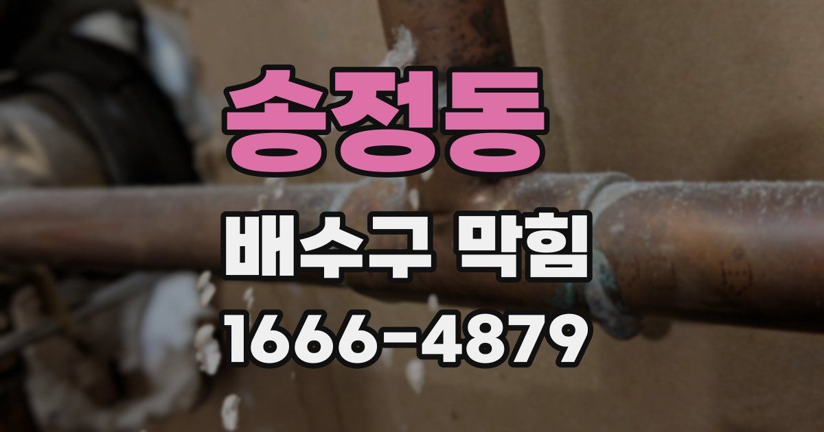 송정동 배수구 막힘