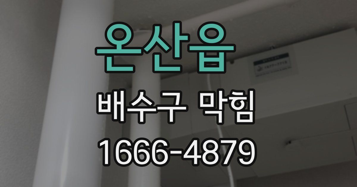 온산읍 배수구 막힘