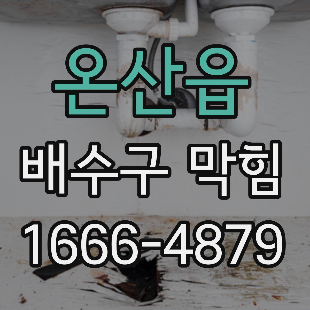 온산읍 배수구 막힘