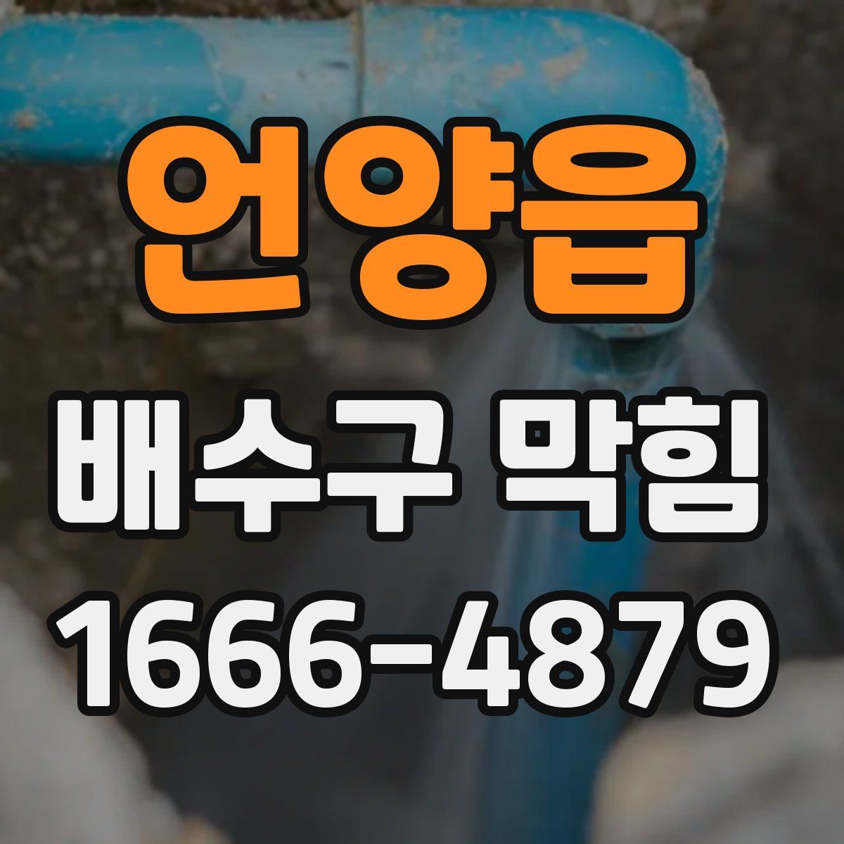 언양읍 배수구 막힘