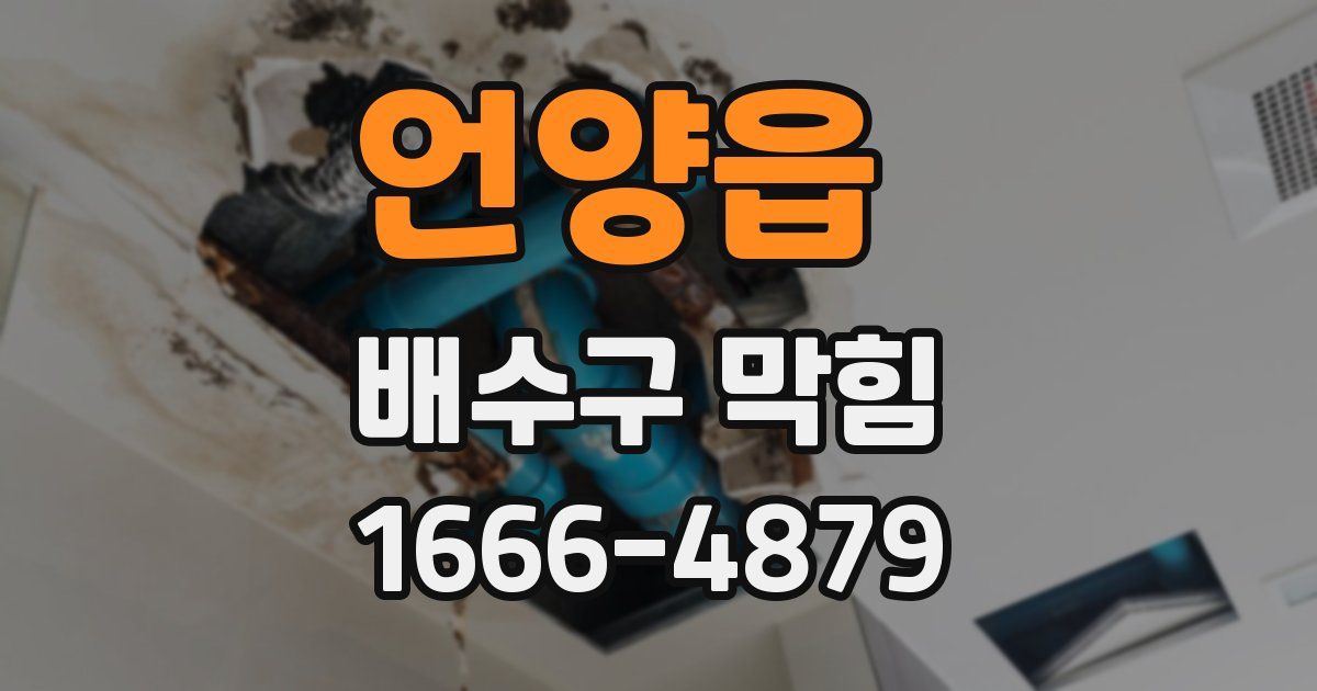 언양읍 배수구 막힘