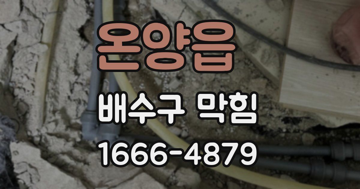 온양읍 배수구 막힘