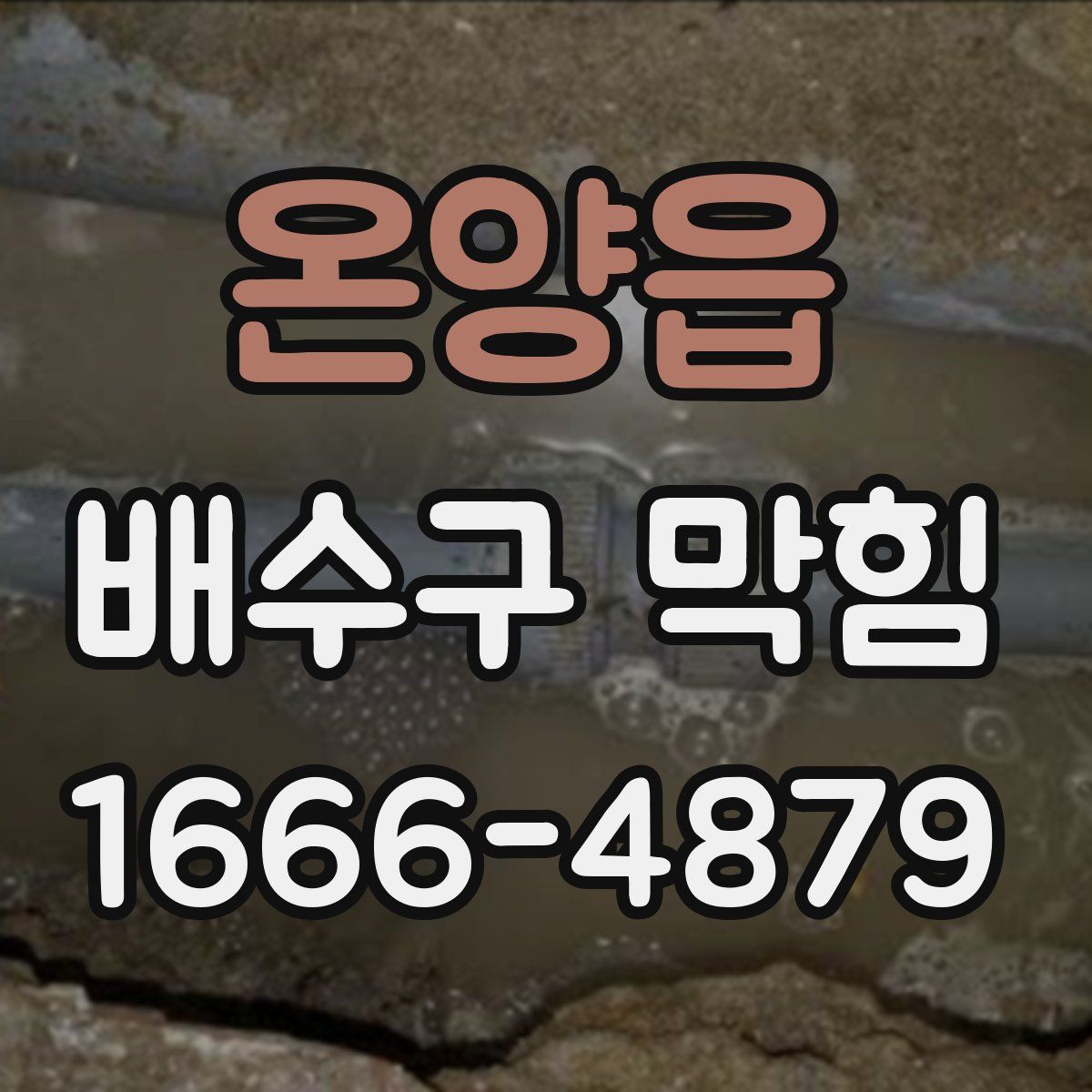 온양읍 배수구 막힘