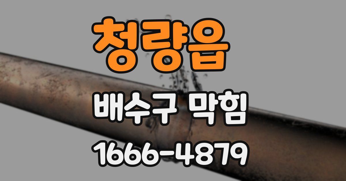청량읍 배수구 막힘