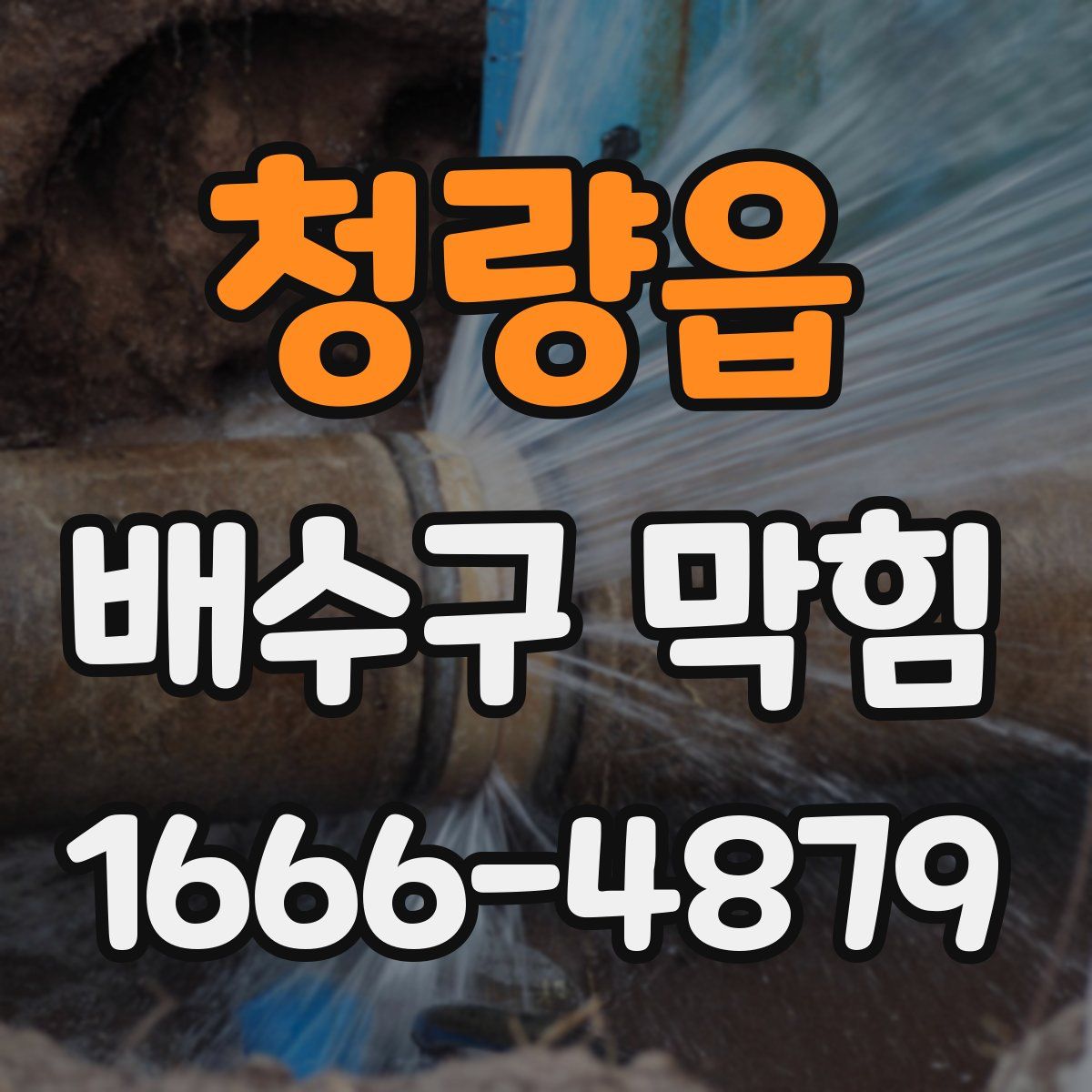 청량읍 배수구 막힘