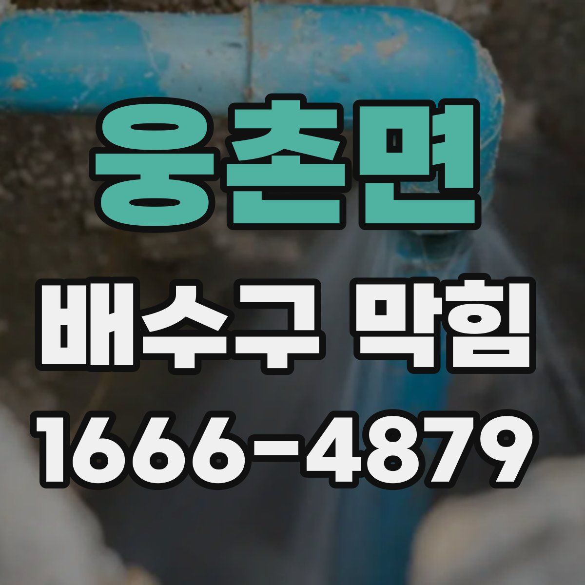 웅촌면 배수구 막힘