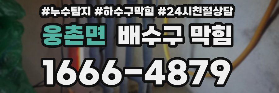 웅촌면 배수구 막힘