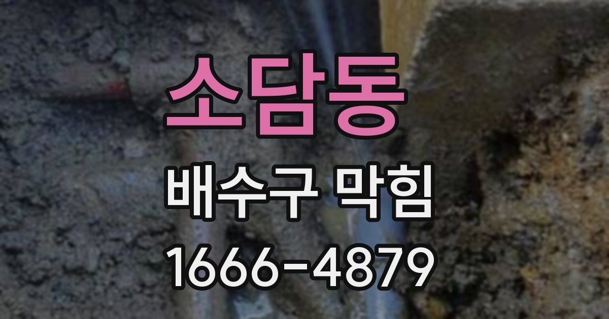 소담동 배수구 막힘