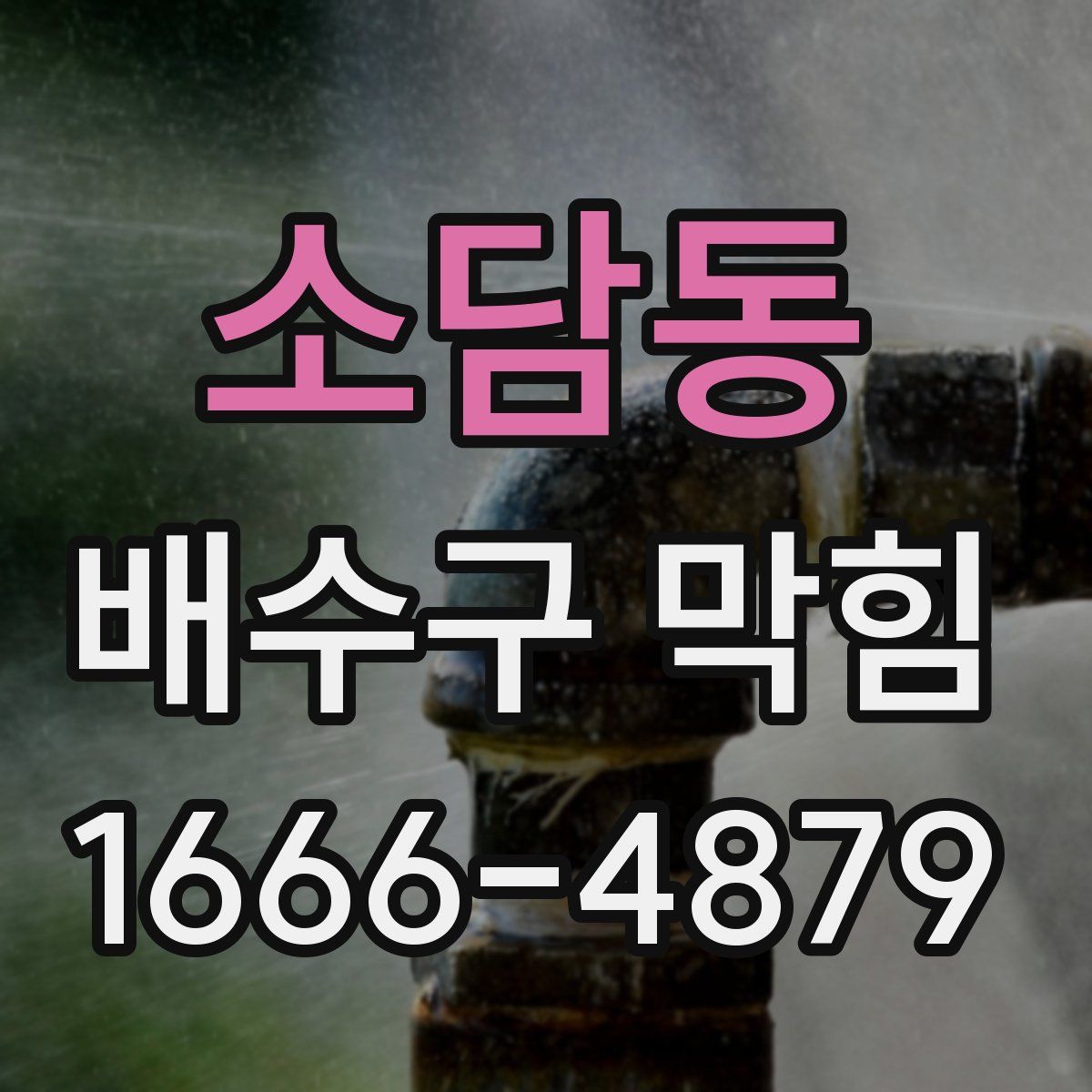 소담동 배수구 막힘