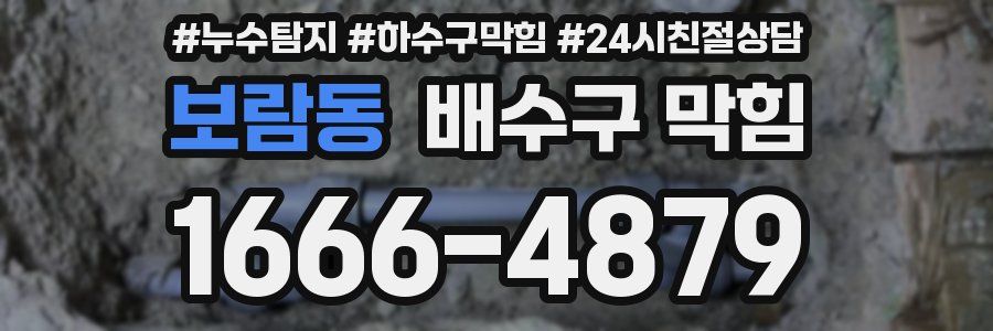 보람동 배수구 막힘
