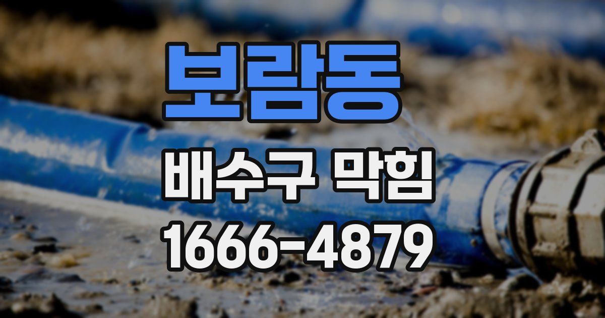 보람동 배수구 막힘