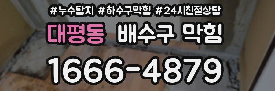 대평동 배수구 막힘
