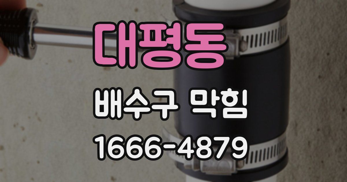 대평동 배수구 막힘