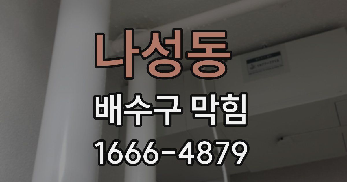 나성동 배수구 막힘