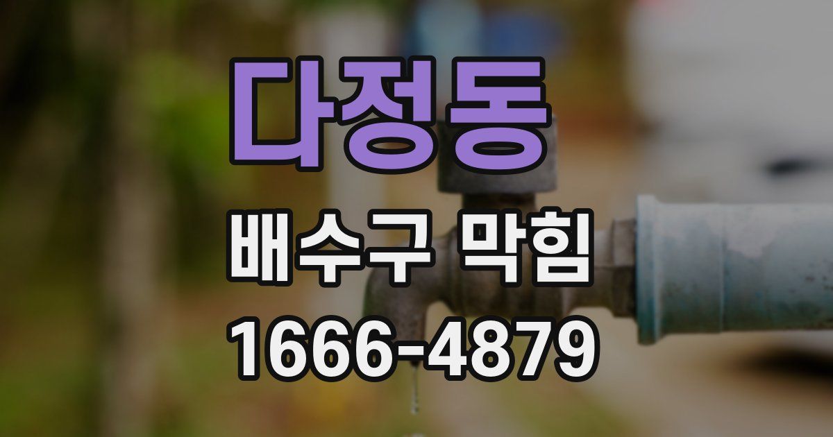 다정동 배수구 막힘