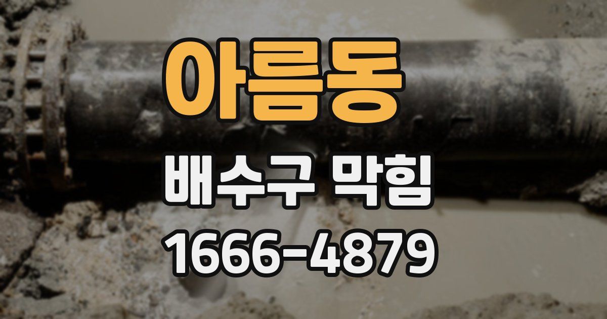 아름동 배수구 막힘