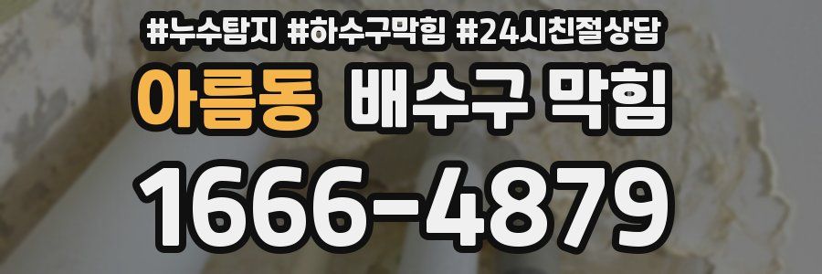 아름동 배수구 막힘