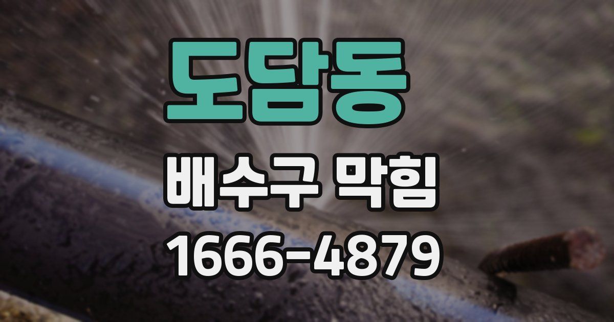 도담동 배수구 막힘