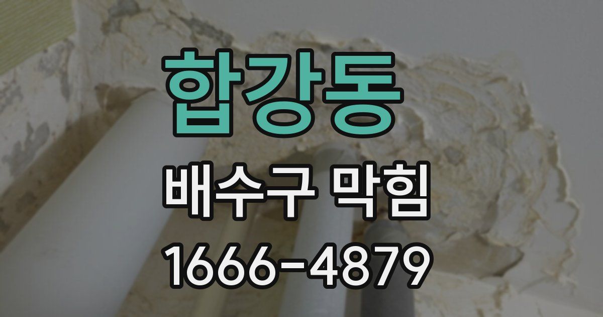 합강동 배수구 막힘