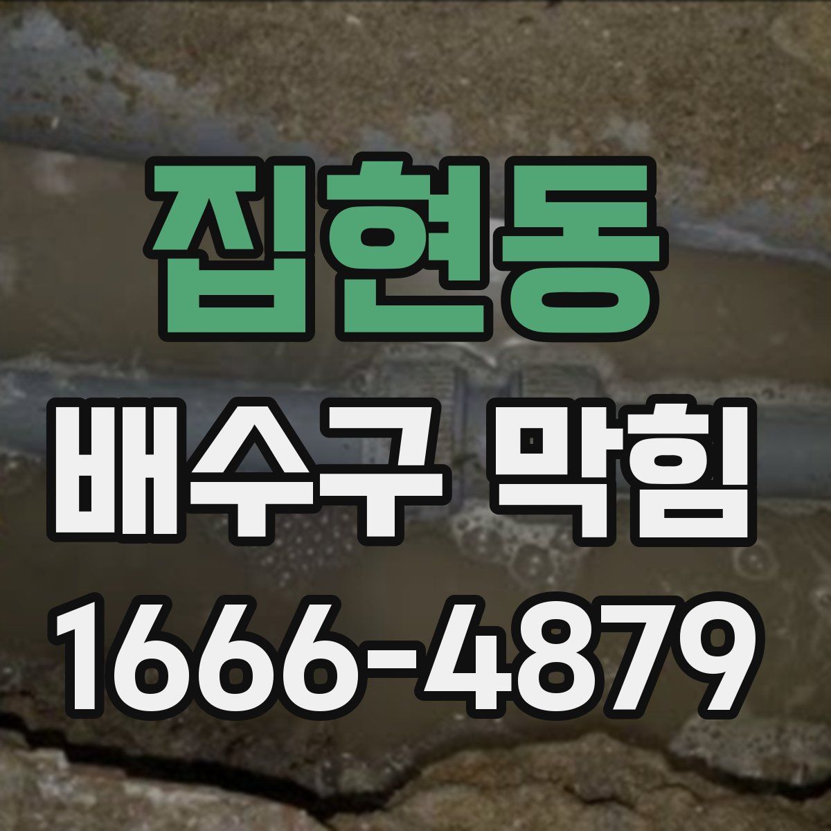 집현동 배수구 막힘