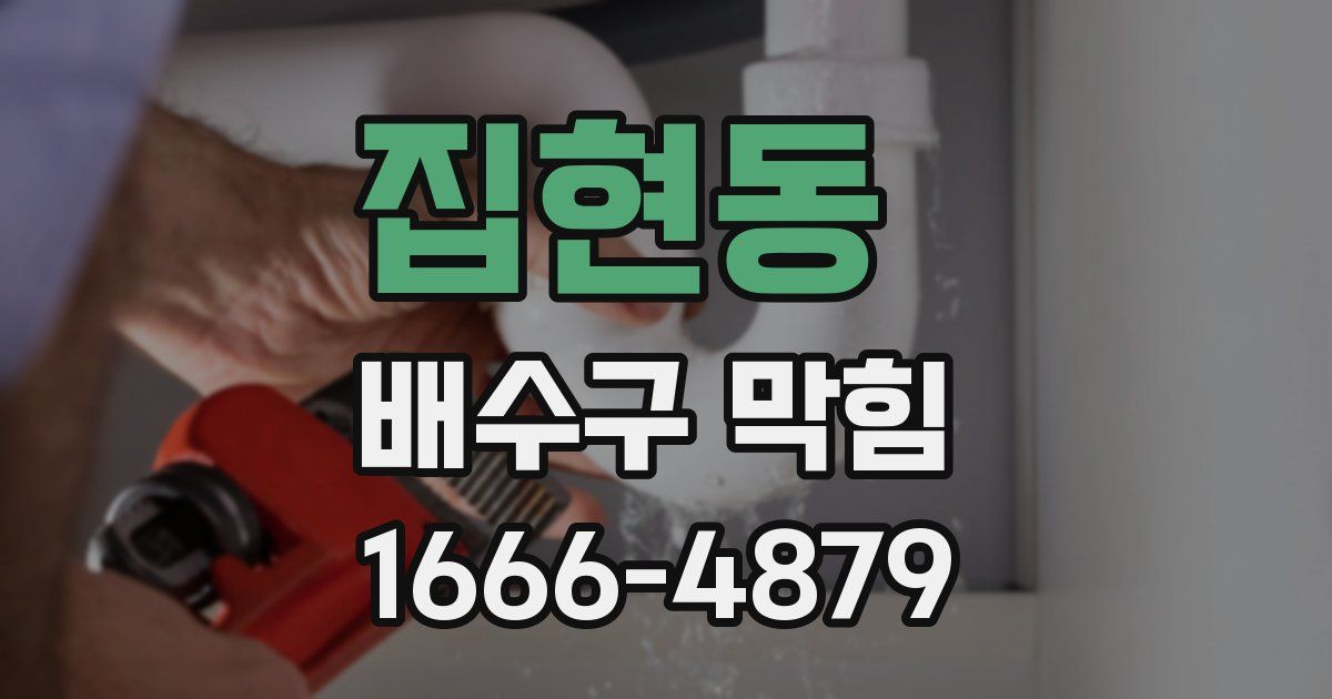 집현동 배수구 막힘