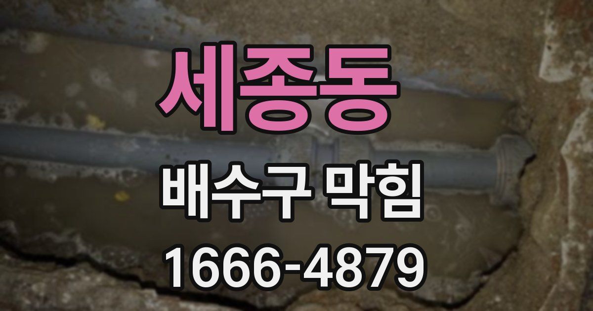 세종동 배수구 막힘
