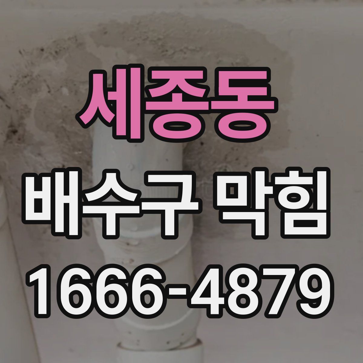 세종동 배수구 막힘