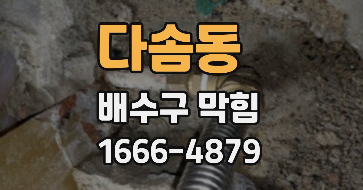 다솜동 배수구 막힘