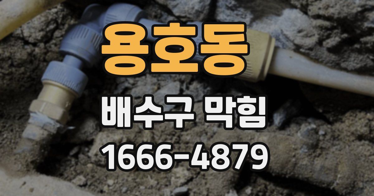 용호동 배수구 막힘