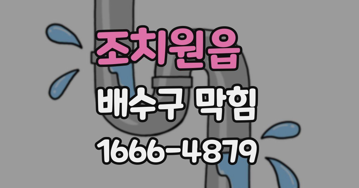 조치원읍 배수구 막힘