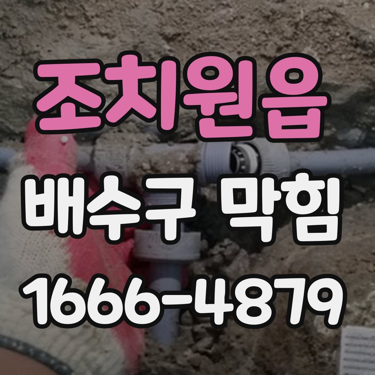 조치원읍 배수구 막힘