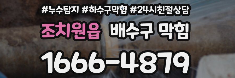 조치원읍 배수구 막힘