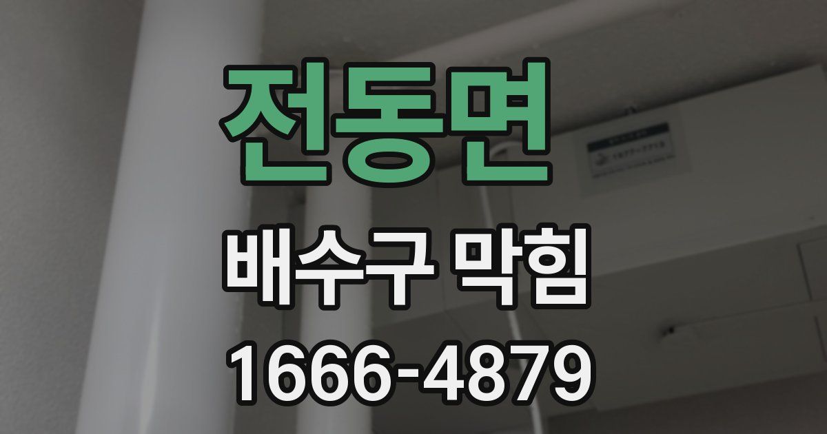 전동면 배수구 막힘