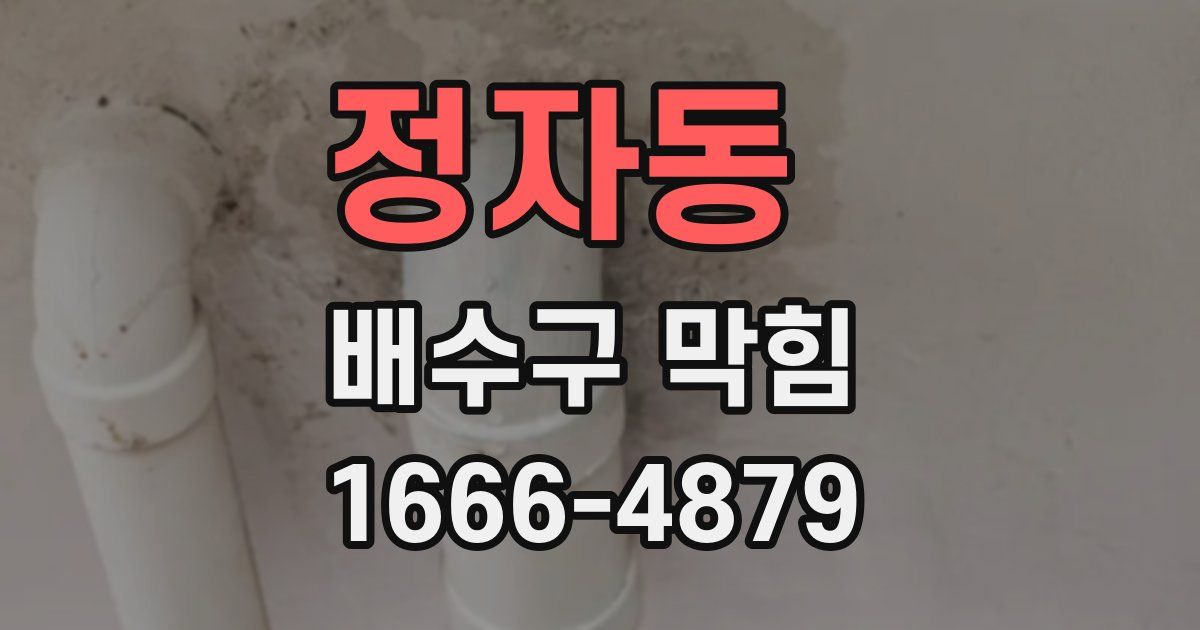 정자동 배수구 막힘