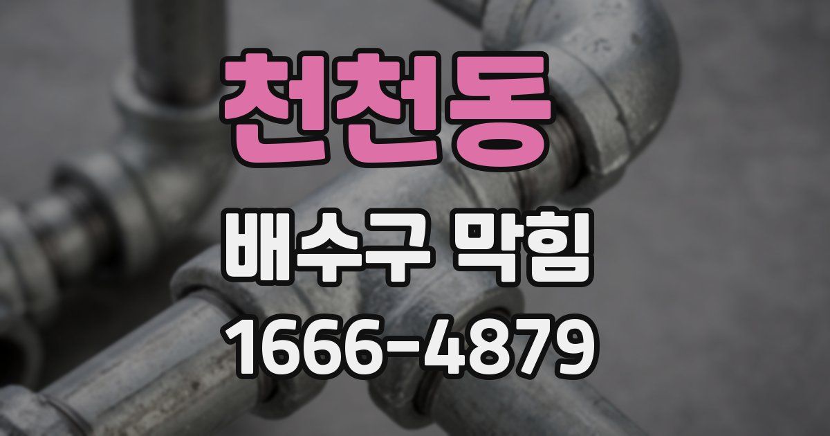 천천동 배수구 막힘