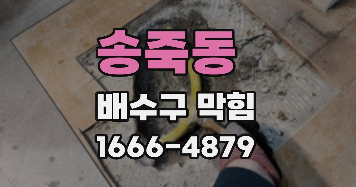 송죽동 배수구 막힘