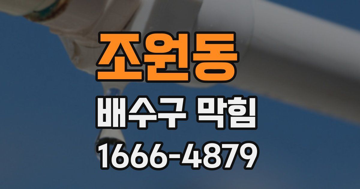 조원동 배수구 막힘