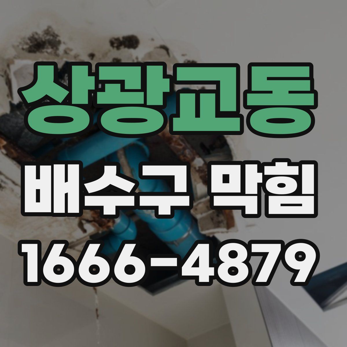 상광교동 배수구 막힘